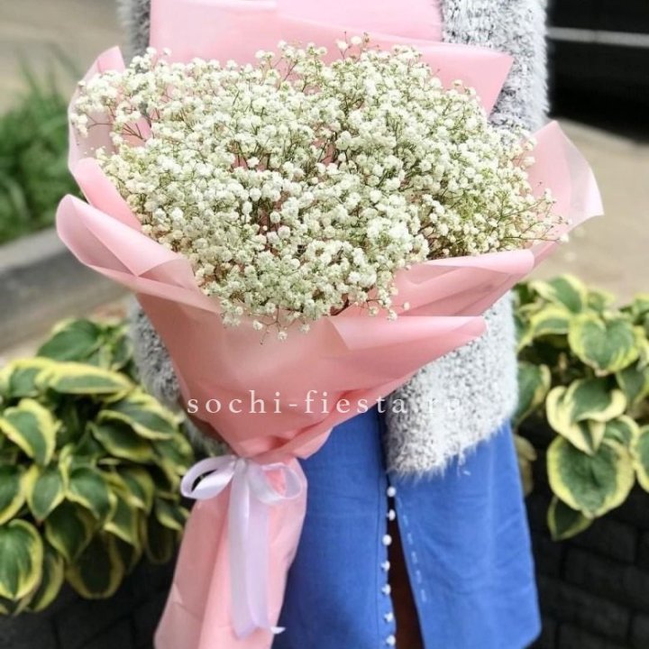 Белоснежные гипсофилы в Абу-Даби