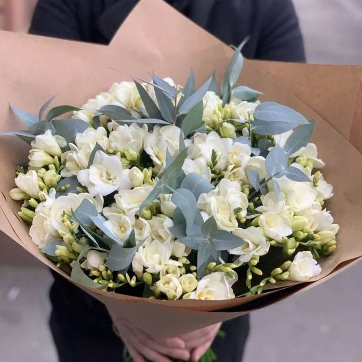 51 фрезия с эвкалиптом в Абу-Даби